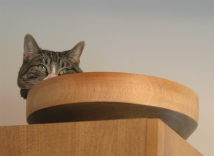Gabby In a Salad Bowl
