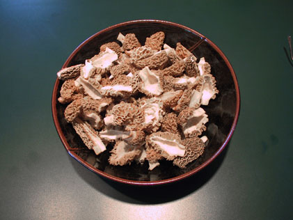 Morel