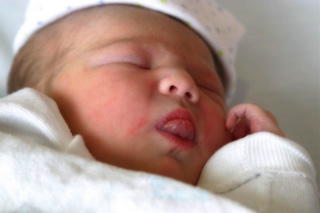 Baby Quinn