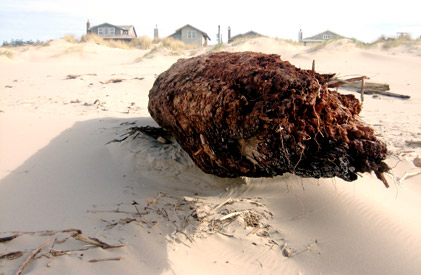 beach 2006