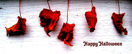 Happy Halloween