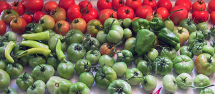 Harvest