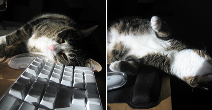 Hobbes