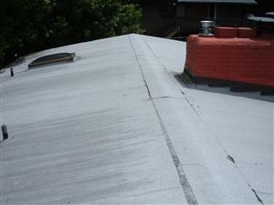 Ranch Roof