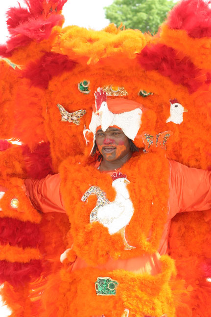 Mardi Gras Indian