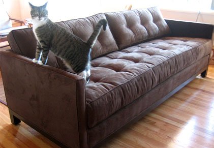 New Couch