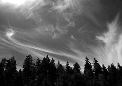 Oakland Sky