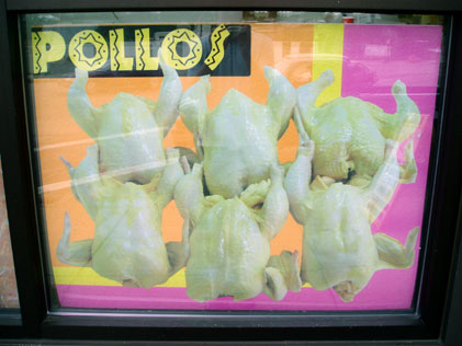 pollos sign