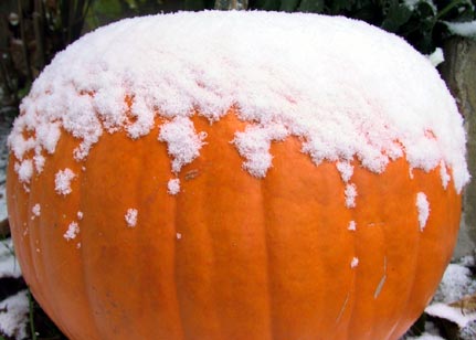 First Snow
