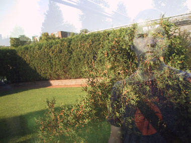 reflect