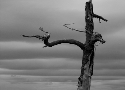 Semiahmoo