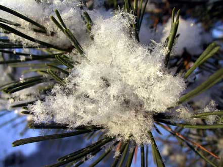 snow chunk