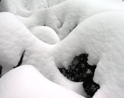 mounds